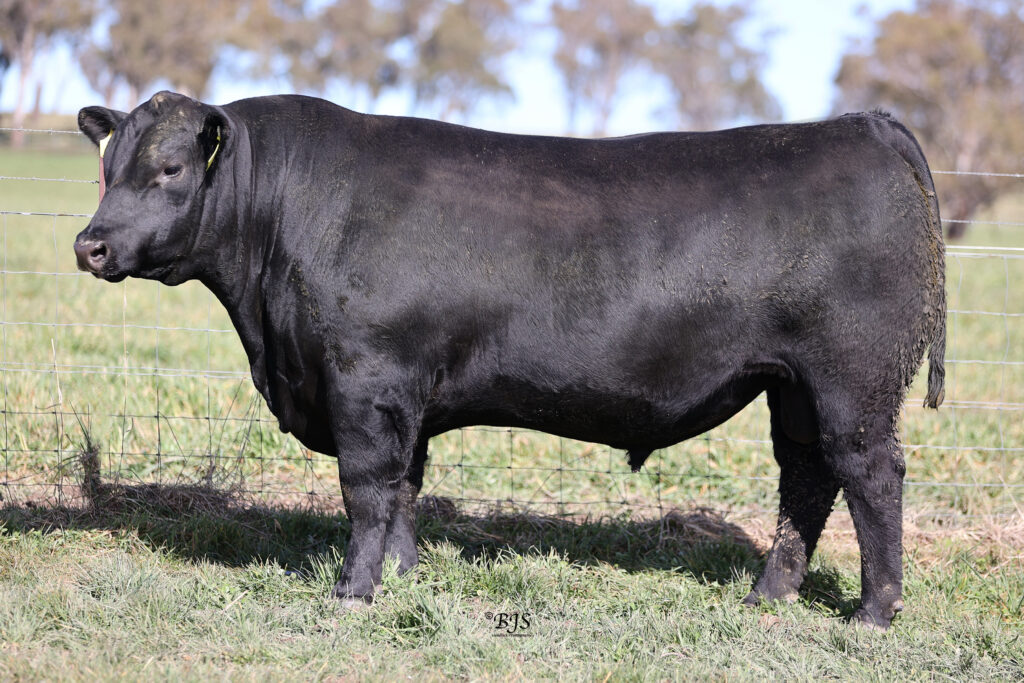 LOT 18-NEN22T188