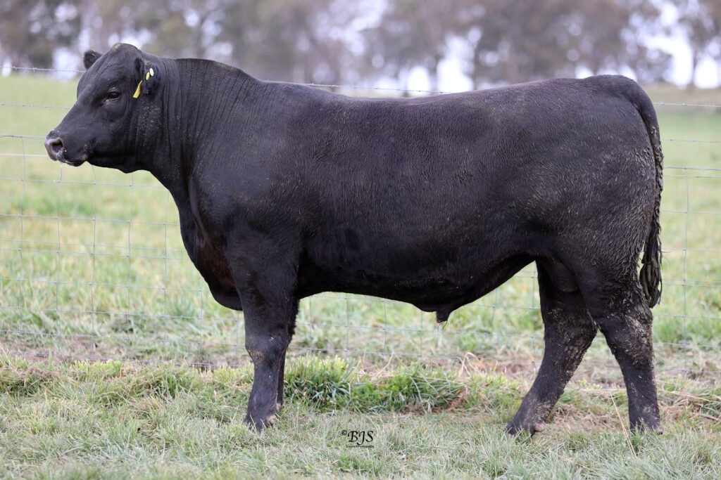 LOT 20-NEN23U55