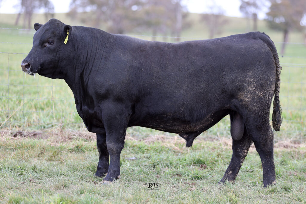 LOT 22-NEN23U8