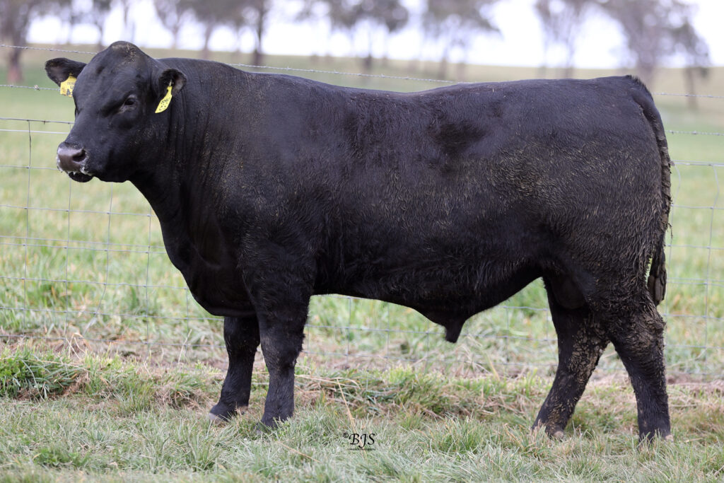 LOT 23-NEN23U44