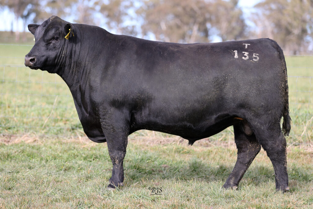 LOT 30-NEN22T135