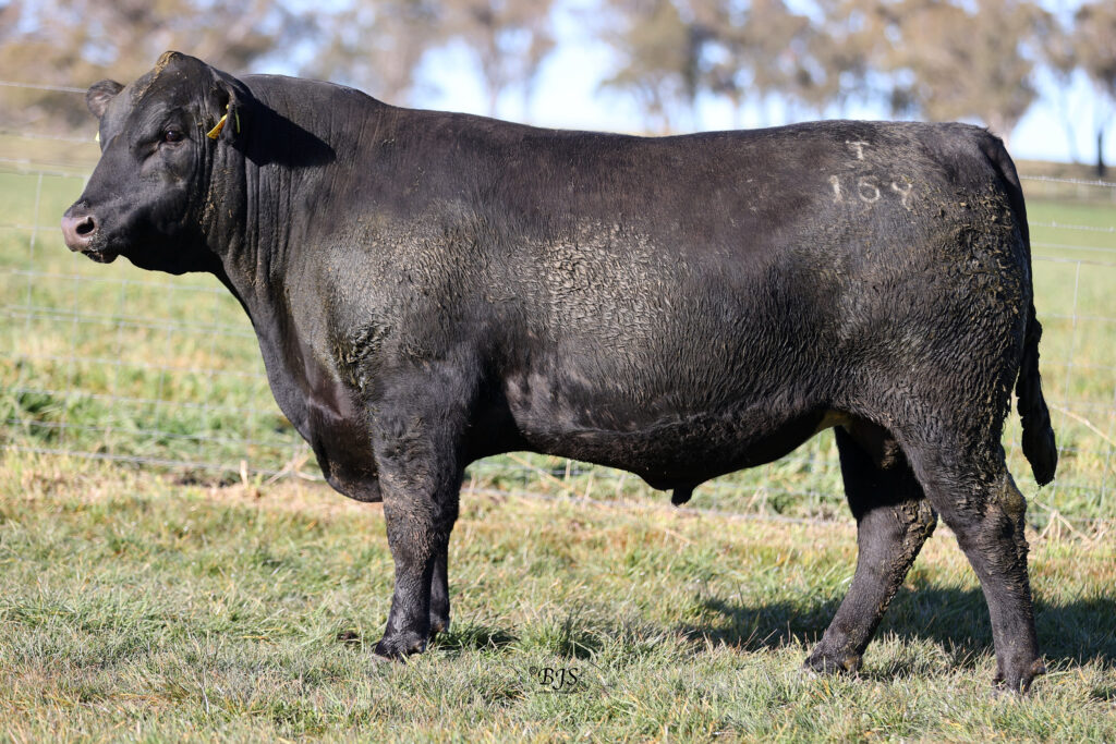 LOT 5-NEN22T169