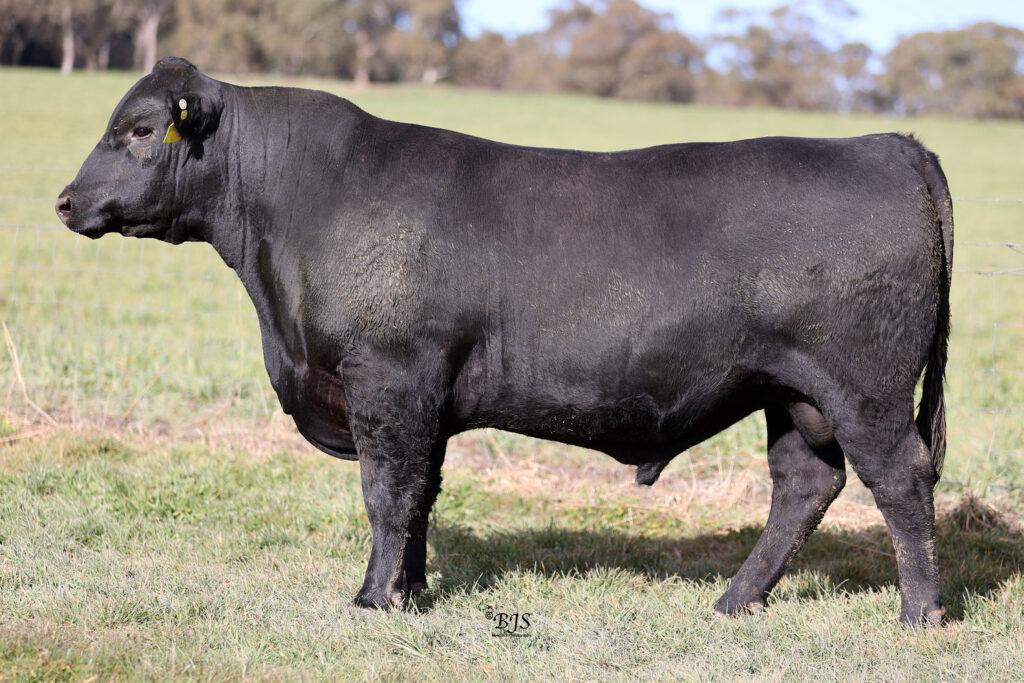 LOT 6-NEN22T232