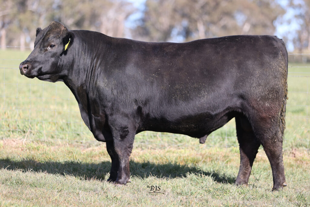 LOT 8-NEN22T171