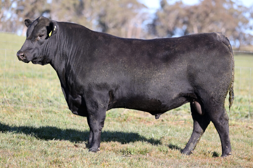  LOT 9-NEN22T211