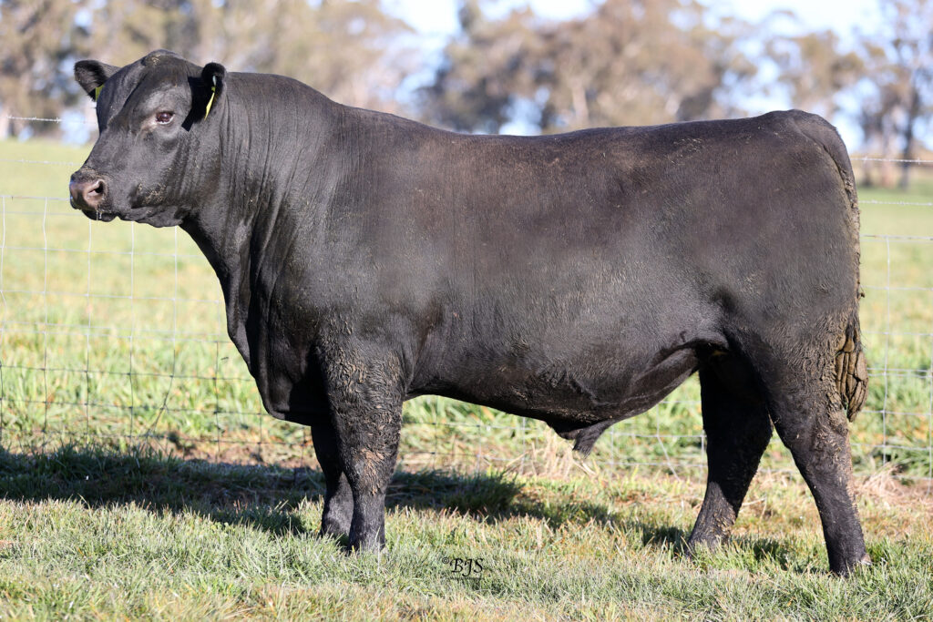 LOT 1 - NEN22T166