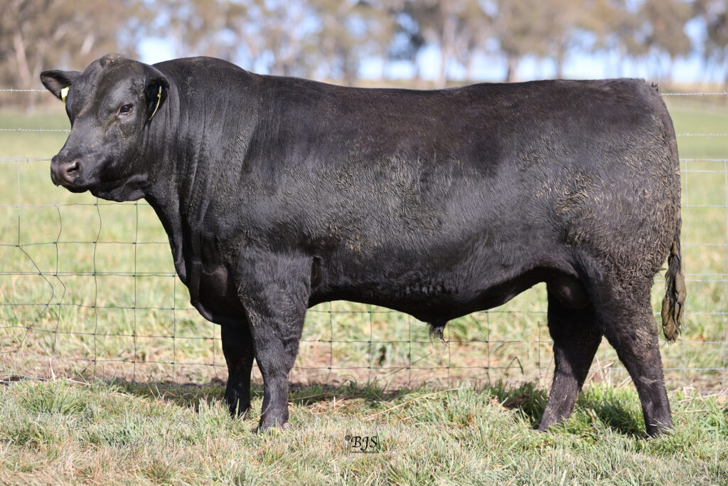LOT 59-NEN22T114