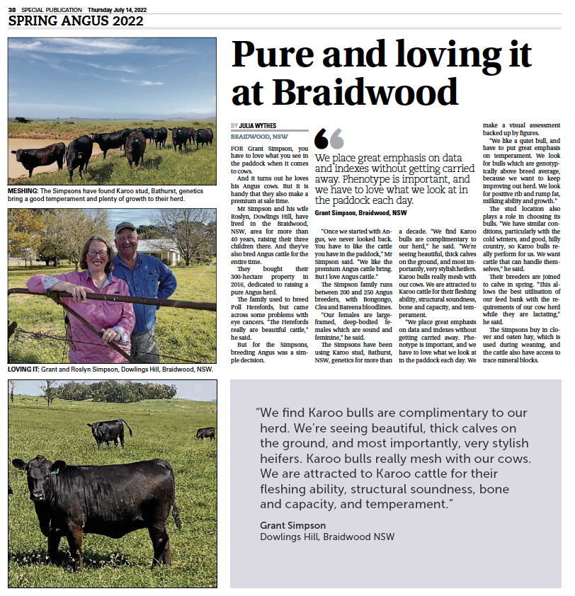 Karoo-Spring-Angus-2022 Karoo-Spring-Angus-2022